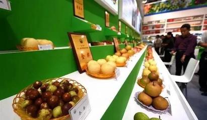 祁陽首屆油菜花節暨農副產品交易會邀您共賞春光，樂享田園盛宴