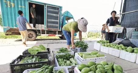 農(nóng)副產(chǎn)品物流的特點