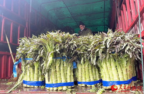 新春走基層 24小時不打烊，守護萬家煙火氣——走訪華東最大農(nóng)副產(chǎn)品集散地