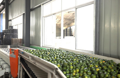 湖北農(nóng)副產(chǎn)品的疫后突圍 從挑戰(zhàn)到機遇的振興之路