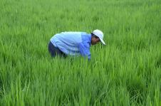 塞上江南，物阜民豐——探秘寧夏特色農(nóng)副產(chǎn)品產(chǎn)業(yè)