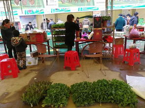 兩祁農(nóng)副特產(chǎn)展銷會(huì)今日開(kāi)幕，五十余家企業(yè)攜名優(yōu)土特產(chǎn)齊聚一堂