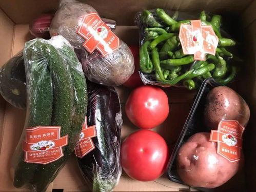 消費(fèi)扶貧涇陽(yáng)在行動(dòng) 特色農(nóng)副產(chǎn)品展銷會(huì)亮相西安城